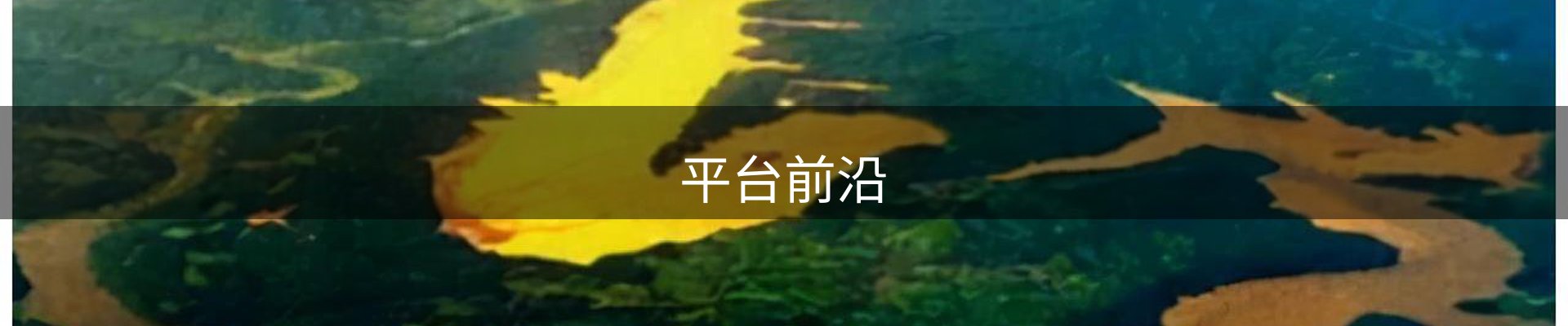 平台前沿